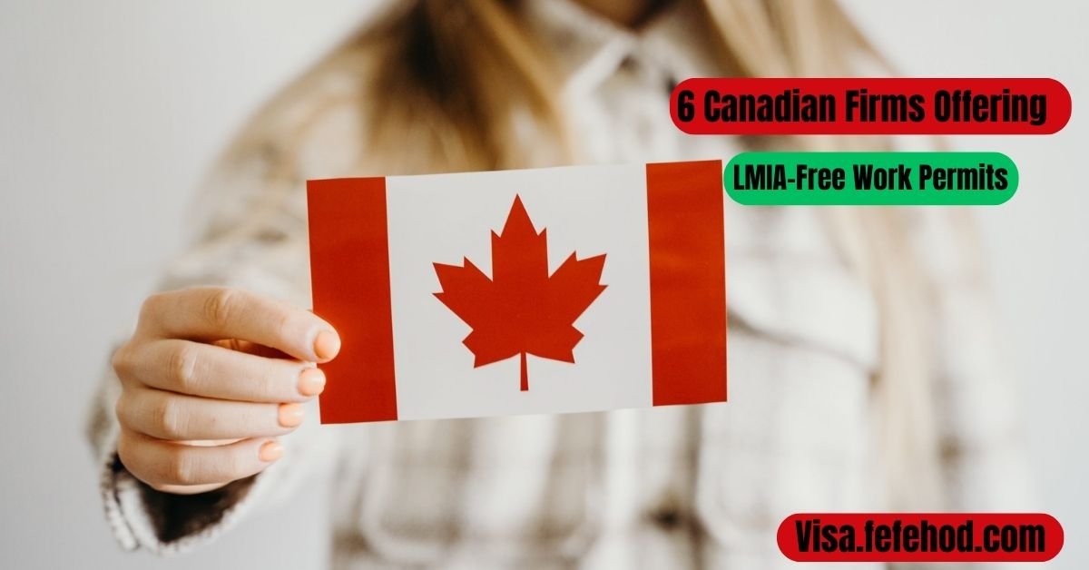 6 Canadian Firms Offering LMIA-Free Work Permits (Nov 2024)